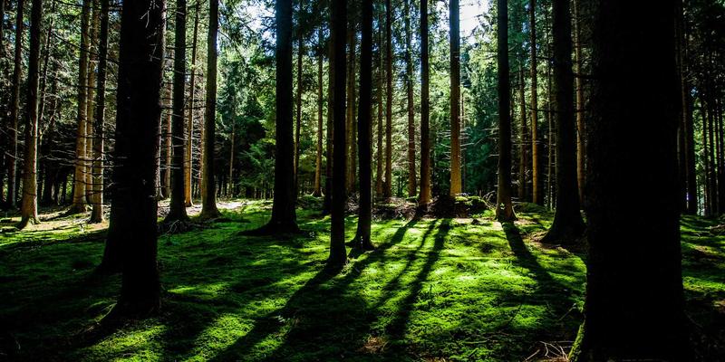 从孤岛到智能生态：工业物联网(IIoT)如何重塑自动化系统集成与智能制造未来