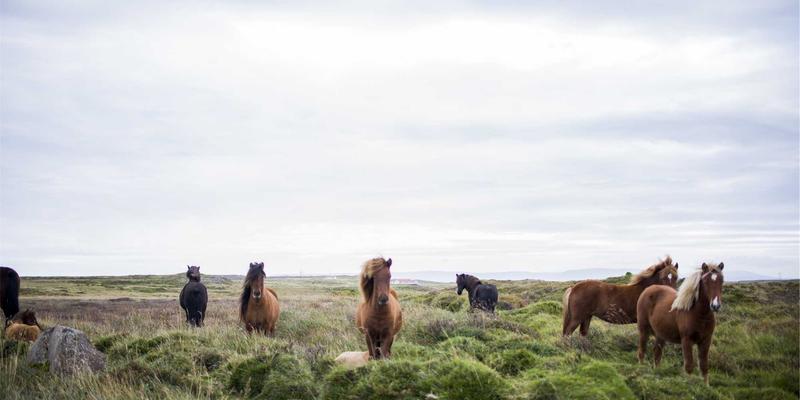 工业自动化双翼齐飞：功能安全与信息安全协同设计，SIS与网络安全一体化实践