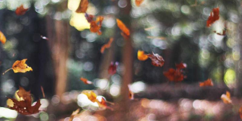 工业自动化边缘计算:如何利用边缘控制器与AI芯片实现毫秒级实时决策与预测性维护