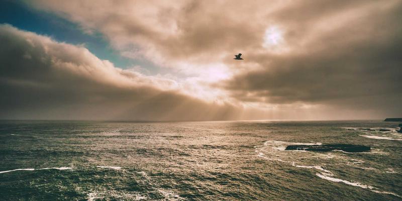 超越初期投资：工业自动化项目全生命周期成本深度解析与优化策略